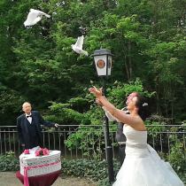 Auflass weißer Tauben zur Hochzeit